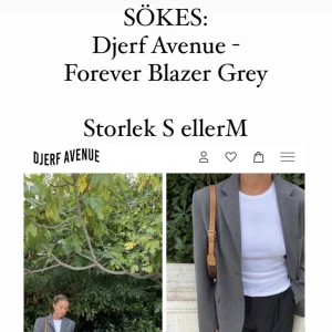 SÖKES Forever Blazer Grey - Djerf Avenue - Hej! Jag söker efter Forever Blazer Grey från Djerf Avenue. Jag är en storlek S så jag söker främst efter en Small eller Medium. Håller tummarna! 🤞🏼