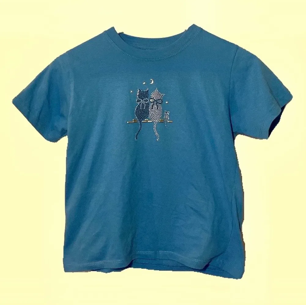 Kul blå liten t-shirt, skulle säga att den passar S/M. Köpt second hand, frakt tillkommer👕. Toppar.