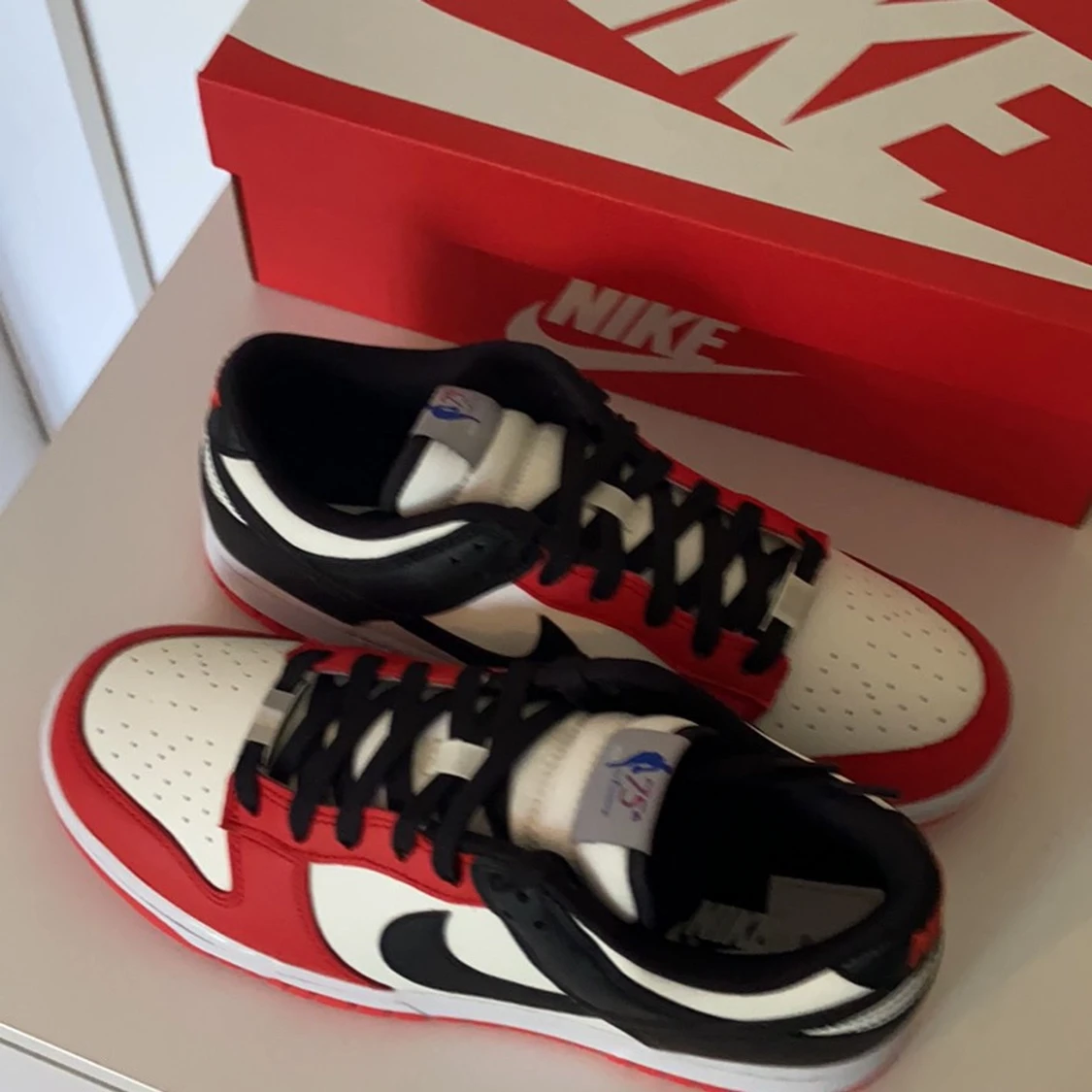 Nike Dunk Low EMB NBA 75th Anniversary  - 90