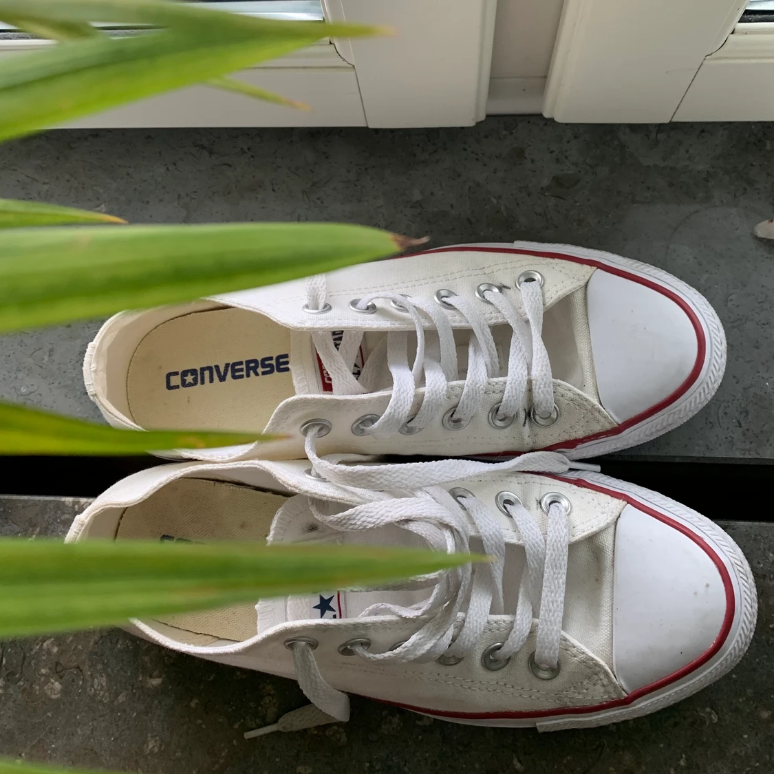 Vita låga Converse, storlek 38 - 90
