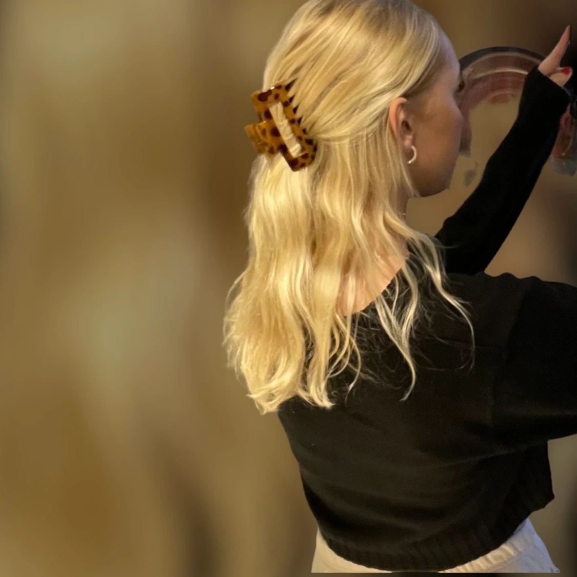 Brun hårklämma 🤎