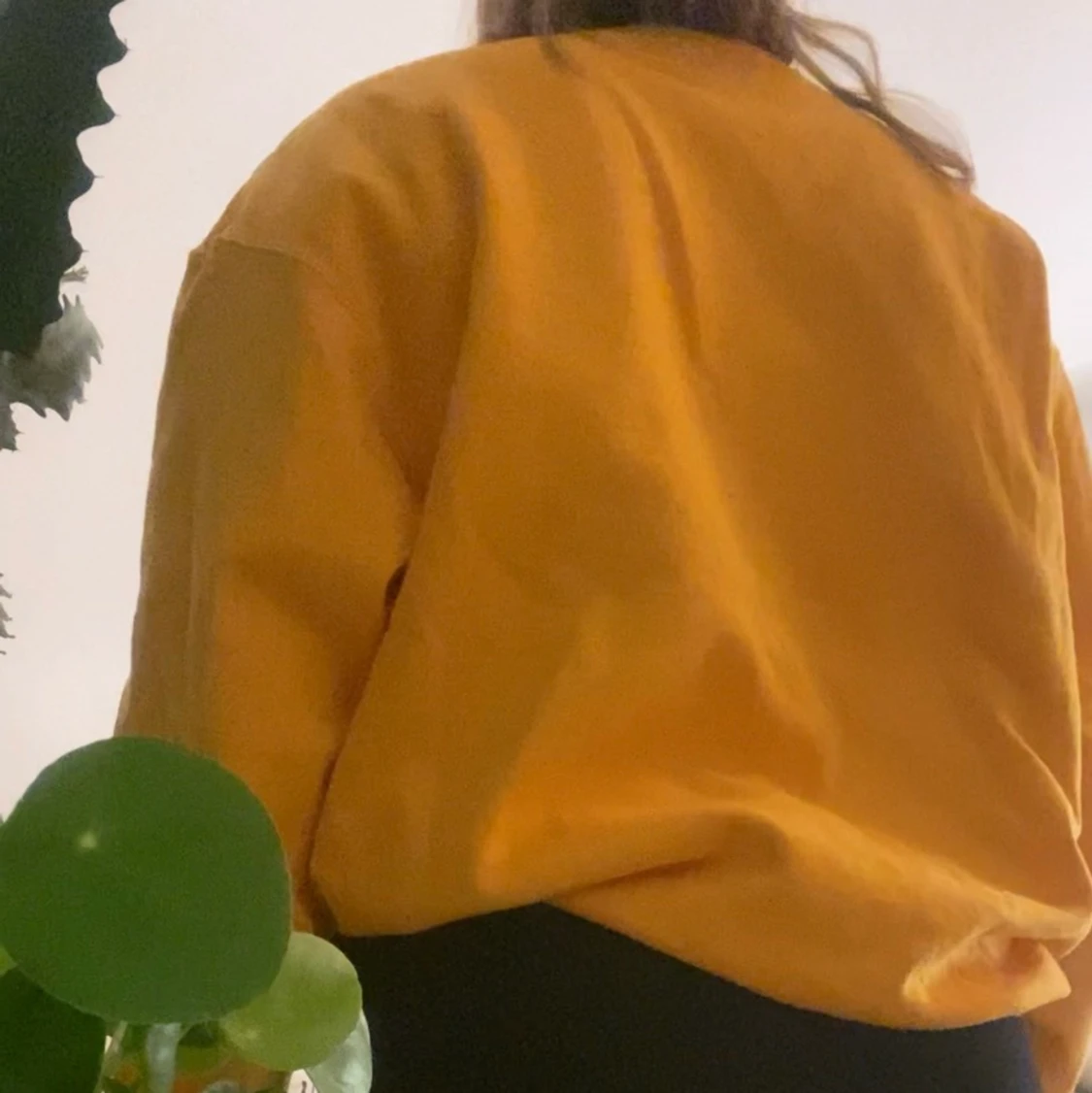 Champion sweatshirt  - 90