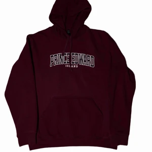 Vintage hoodie  - Vintage hoodie fint cond storlek L pris:399:- diskuterbart. Kom pm för mer bilder