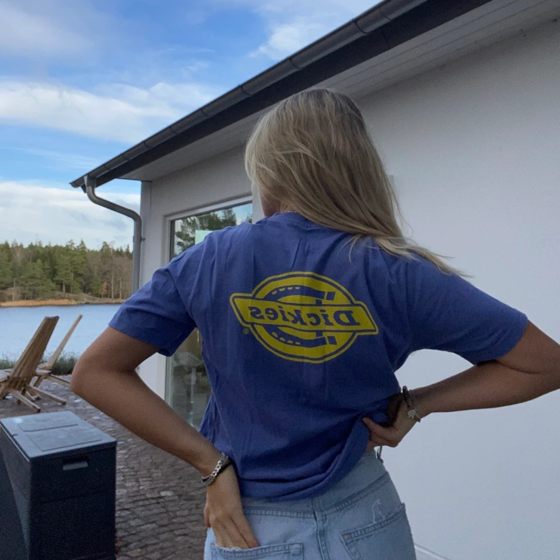 Dickies T-shirt  - 90