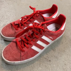 Sneakers  - Röda sneakers 