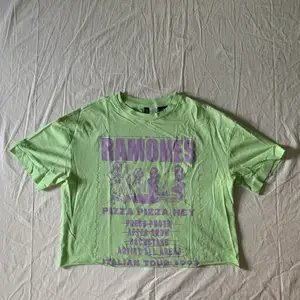 Grön croppad oversized t-shirt med lila Ramones motiv!