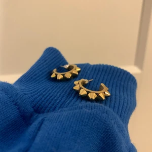 Edblad örhängen  - Säljer dessa fina örhängen från Edblad som är helt oanvända! Nypris 300kr) 💙 ‼️‼️ Pris kan diskuteras ‼️‼️