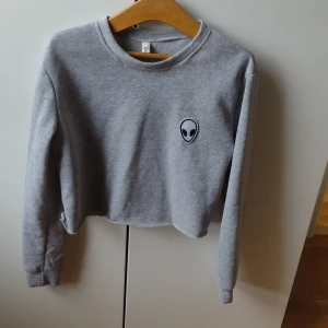 Wish långarmad tröja - Köptes från wish, användes 2-3 gånger.str XL vilket är ungefär str 38. Färg: grå. Längd: 45-50 cm. Leverans ingår inte. Finns i Täby.