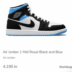 Jordans - Superfint skick då jag bara har använt dom fåtal gånger! Säljer pga inte min stil längre. Nypris nu: 4190kr💞