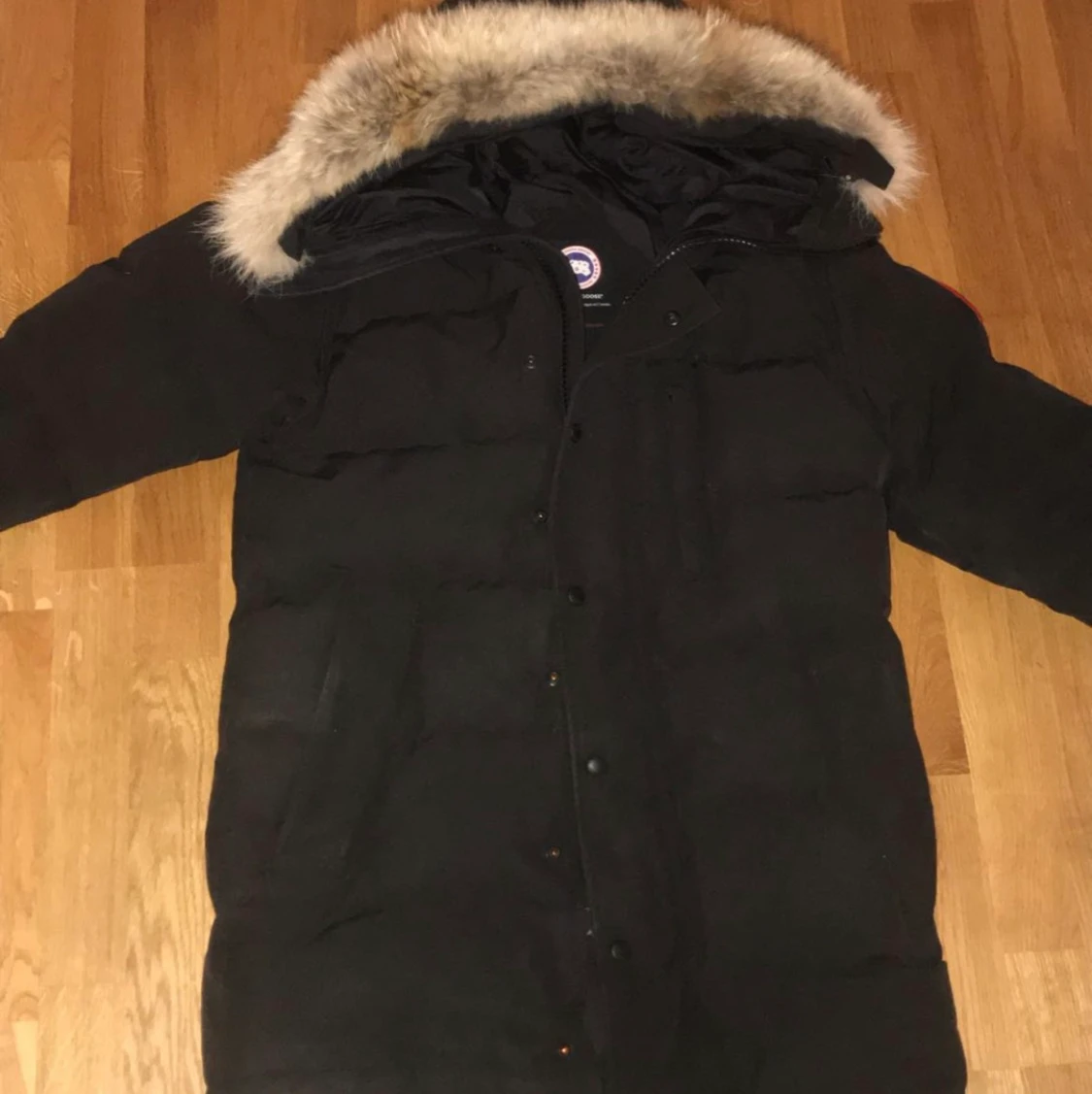 Canada goose carson  - 90
