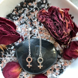 Venus örhängen  - ✨Venus örhängen i ny design ✨Jämnställdhet är något som behöver kämpas för i hela värden. 95% av alla sexualbrott begås på kvinnor och 98 % av förövarna är män. Vi lever i ett patriarkat och detta påverkar alla negativt med en massa destruktiva normer. Köp din Venus symbol och tillsammans så krossar vi patriarkatet! (Krokarna är i sterling silver och nickelfria) 
