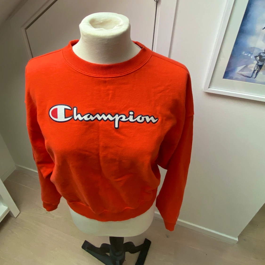 Orange champion tröja