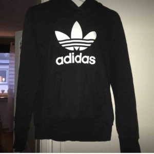  - Adidas hoddie 