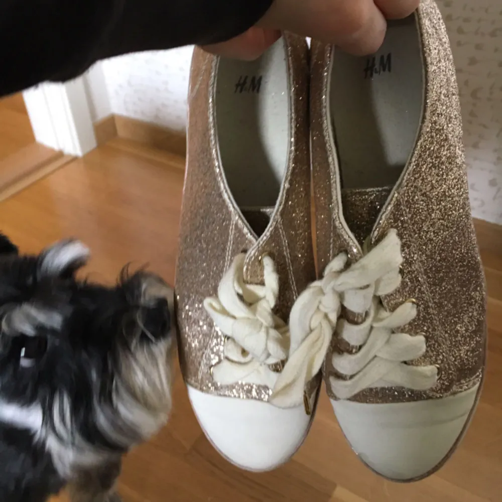 🌷Guld glittriga sneakers i storlek 40 från H&M. Sparsamt använda men har en blek fläck på tån av ena skon, så priset kan diskuteras. Hund ingår inte. 🌷. Skor.