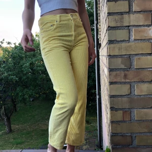 Asos gula manchesterbyxor - Samma byxor som jag postat tidigare, med min kompis på bilden som är 163 cm
