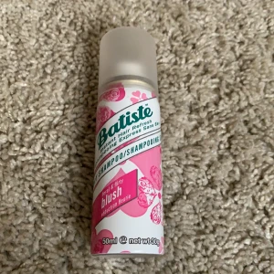 Torrschampo  - Detta är ett torrschampo som passar till alla hårtyper. Den är oöppnad och hör av er ifall ni är intresserade.