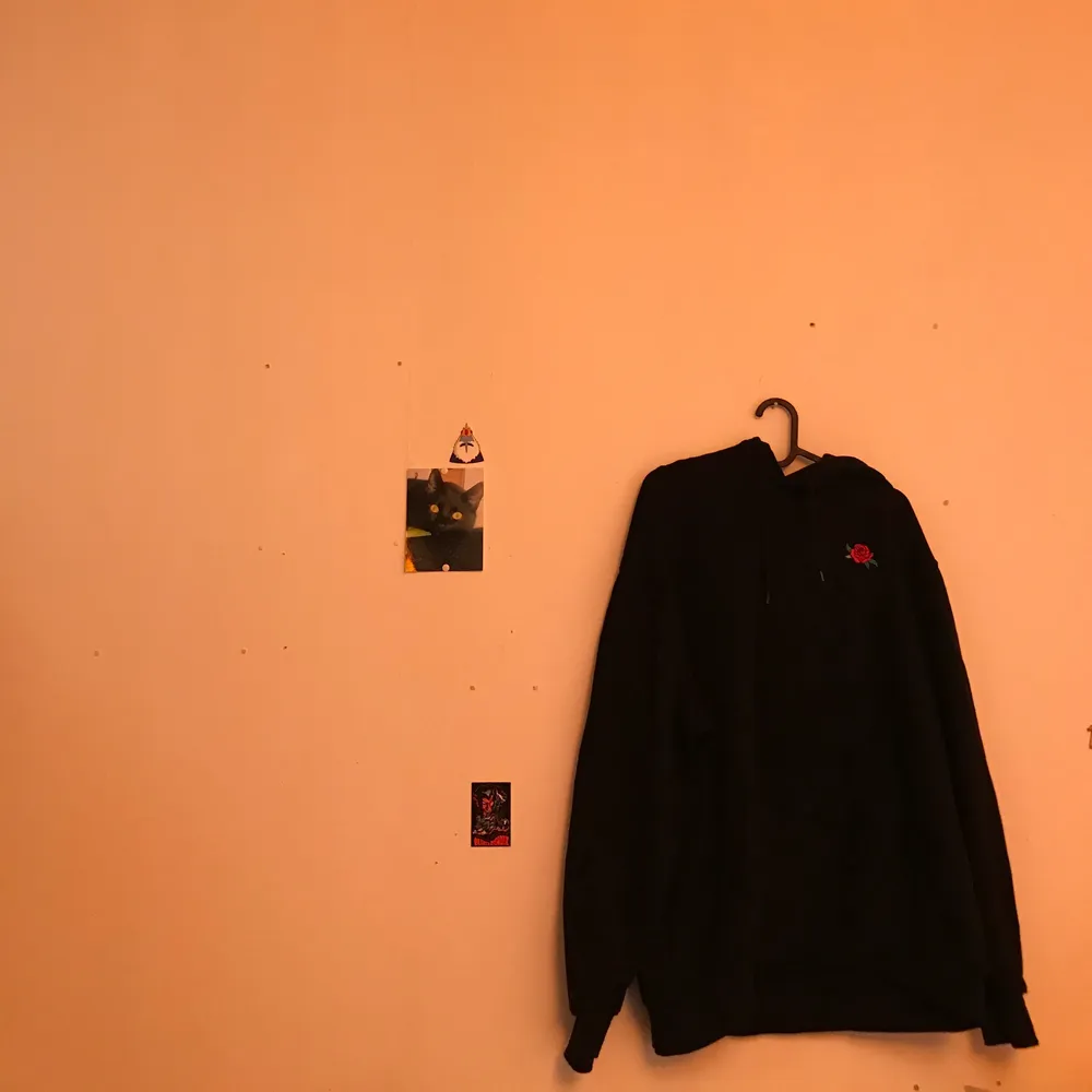 En svart hoodie med en broderad ros på bröstet. Använd ett antal gånger och säljer nu pga flytt. Köpt på H&M i storlek XL.. Hoodies.