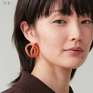 Oranga örhängen  - As snygga oranga örhängen från COS i oanvänt skick och påsen kommer med! Orginal pris är 250kr så detta är ett kap;)❤️