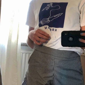  - Snygga rutiga shorts från brandy Melville som passar någon med storlek XS-M beroende på hur man vill att de ska sitta:)