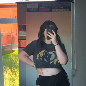 T-shirt - Har själv klippt tröjan till en magtröja, väl använd men inte trasig alls. Står strl L men sitter nog mer som en M på mig men jag har ganska stor byst.