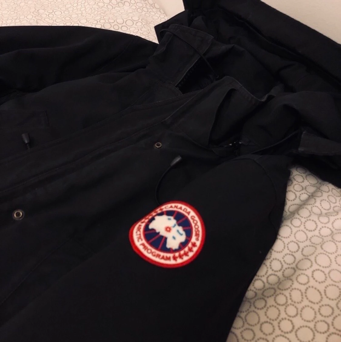 Canada goose  - 90