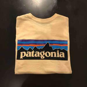 Avklippt patagonia t-shirt, använd ca 2 ggr. Köparen står för frakt. 