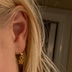 Stjärnlrhängen ⭐️⚡️💕 - 2 par i lager men kan göra fler. Kontakta vid intresse.                                              Pris: 59kr