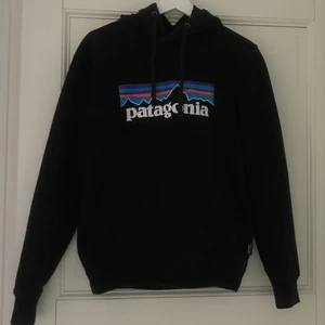 Patagonia hoodie - Jättefin patagonia hoodie som tyvärr inte kommer till användning. Köpt här på Plick och sedan dess endast används en gång. Inga hål eller fläckar mm. Den är i storlek xs men se sissta bilden för att se hur modellen ser ut på mig som är storlek s. Så snygg att ha tillsammans med ett par jordans eller en snygg jacka. Budgivning i kommentarerna fram till den 28/10 kl 12🌸