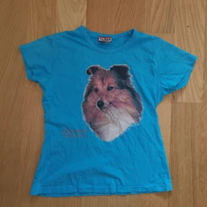 Topp strl S/36 2000tal - Topp strl S med shetland sheepdog väldigt 2000-tal. Frakt tillkommer 