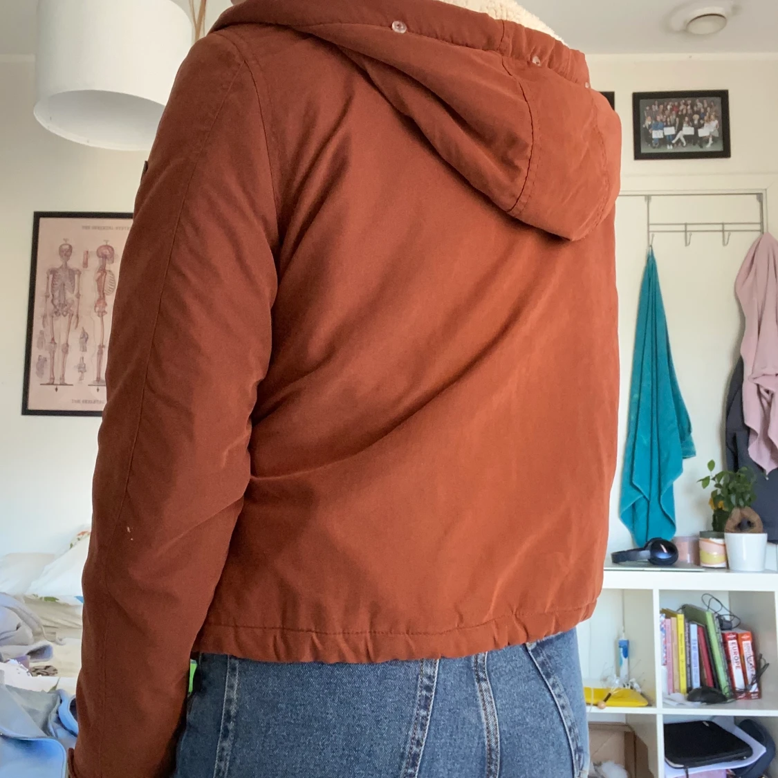 Brown jacket size S/36 - 90