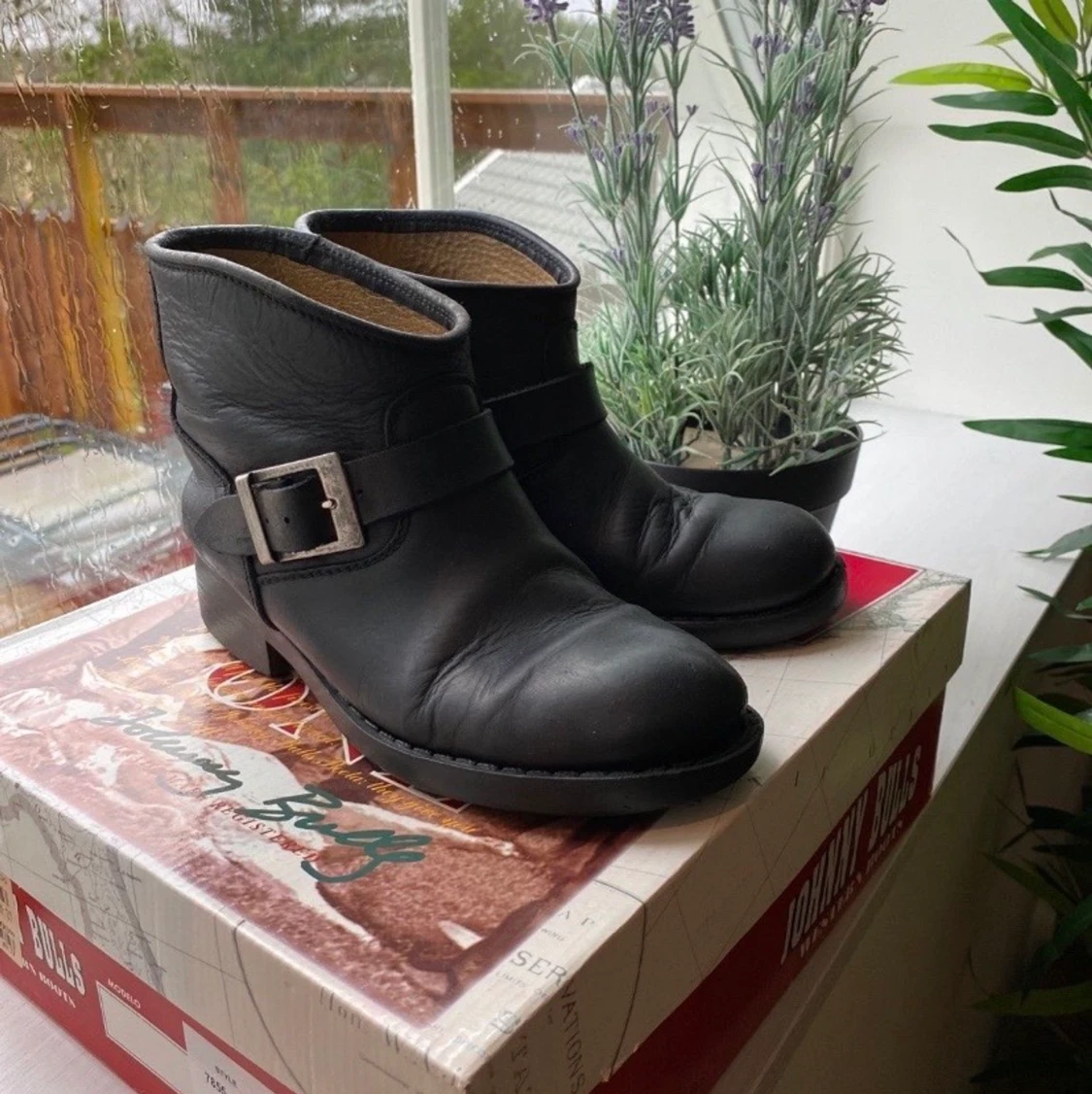 Johnny Bulls i storlek 37