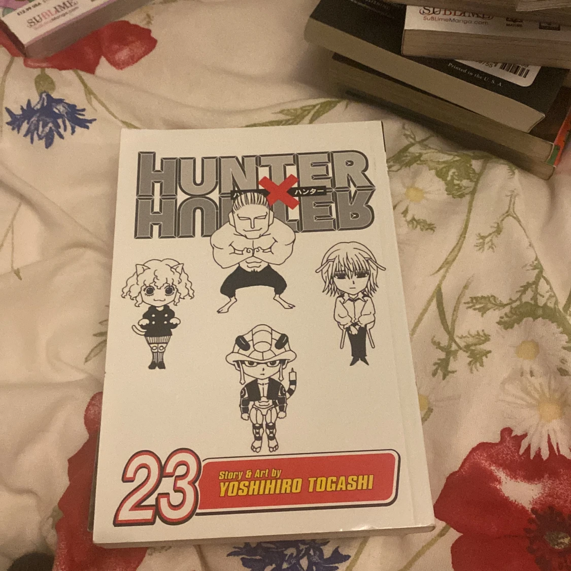 hunter x hunter/hxh - 90