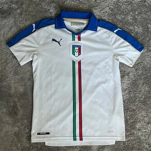 Italien retro tröja - Tröjan är köpt från en vintagebutik och har själv använd den typ 5 gånger.  Den passar mig som är ca 180cm lång och väger ca 67kg.  Meddela vid fler frågor!