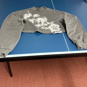 Grå croppad tröja från Divided - Säljer en grå croppad tröja från Divided med tryck på framsidan. Tröjan har långa ärmar och ribbade muddar vid ärmslut.