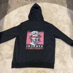 Svart hoodie med tryck - Snygg svart hoodie med ett coolt tryck på baksidan som föreställer en staty med texten 'Intense Feelings'. Perfekt för en avslappnad stil med en konstnärlig touch. Hoodien har långa ärmar och en klassisk huva.
