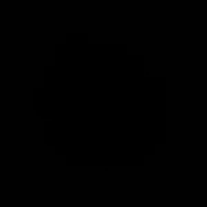 Lv belte  - Lv belte med silver spänne kommer med kvitto låda påse och sånt  kom privat för bilder 