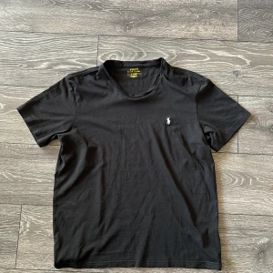Ralph Lauren T-shirt  - Aldrig använd och är köpt på plick. Den har inga defekter eller något. Skriv gärna frågor om ni har det