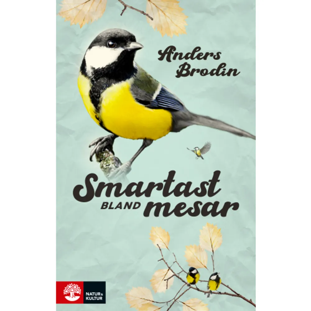 Hur smart är egentligen en talgoxe? Talgoxen är en av Sveriges mest välkända och omtyckta småfåglar. Den är den vanligaste gästen på våra fågelmatningar och historierna är många om hur de snabbt lär sig att äta ur handen eller knacka på köksfönstret när de vill ha påfyllning. Talgoxen är också en av världens mest utforskade fågelarter. Visste du att den kan räkna till fem, att den kan ha väldigt olika personlighet och att den har nästan lika bra självbehärskning som en människa eller en schimpans? Smartast bland mesar är en bok om hur en liten fågel överlever i en värld fylld av faror tack vare sin läraktighet och uppfinningsrikedom. En gång om året gör talgoxarna mig på extra gott humör. Det är när jag kliver ut genom ytterdörren en solig morgon tidigt i januari och hör vårens första förebud, en sjungande talgoxe. Den här typen av tidiga vårförebud är speciellt viktiga för oss som bor långt norrut. Snart är mörkrets och kylans tid förbi, nu väntar ljusare tider. En sådan mental vitamininjektion är väl precis vad man behöver när man stressar iväg till jobbet. Format Pocket Omfång 234 sidor Språk Svenska Förlag Natur & Kultur Allmänlitteratur Utgivningsdatum 2022-04-29 ISBN 9789127179066 . Böcker.