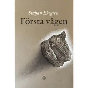 ”Vi liksom är i krig, ett tyst och konstigt utan att fienden syns. Den lever mitt ibland oss. Vi skyddar oss genom distans,när det är gemenskap vi behöver.”När Sverige invaderas våren 2020 av en dittills okänd stormakt hamnar vårdpersonalen vid fronten. I Första vågen fångar Staffan Ekegren deras röster, genom djupintervjuer inne på det slagfält som heter covid-IVA. Kusligt närvarande hör vi dem förändras medan de dagligen står ansikte mot ansikte med döden. En känsla av undergång och apokalyps kommer nära, men även vänskap, humor och varmaste tillit – för när covid-19 möter sköterskor och läkare tvingar det fram en ny jämlikhet som kastar hierarkier över ända.Staffan Ekegren är författare och journalist, under fyra decennier har han skapat en mängd dokumentär skönlitteratur, ofta med många och djupa intervjuer som råmaterial. Med de mest osannolika metoder har Ekegren lyssnat in vår tid, och när pandemin så bryter ut ska den fångas levande – Första vågen blir ett stycke svensk historia medan den ännu pågår.    Format Inbunden   Omfång 204 sidor   Språk Svenska   Förlag Ekström & Garay   Utgivningsdatum 2022-06-17   ISBN 9789189559684  