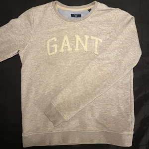  Hoodie - En fin Gant hoodie i bra skick