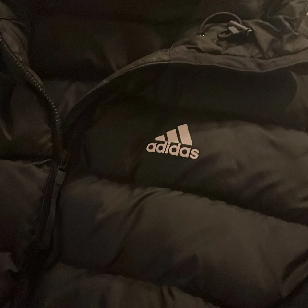 Hej, säljer nu min dunjacka från adidas då den inte passar längre, hyfsat bra skick 8/10. Om du har andra funderingar så skriv.. Jackor.