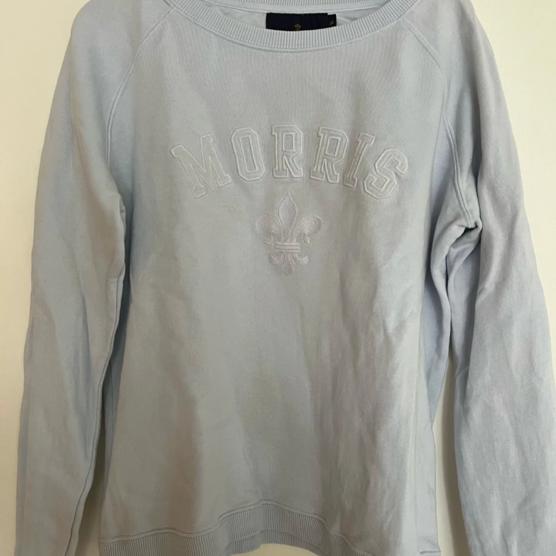 Ljusblå sweatshirt Morris - 91