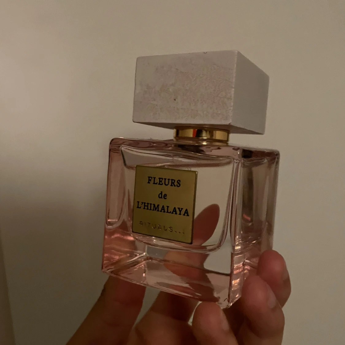 Rituals de l’Himalaya - 90