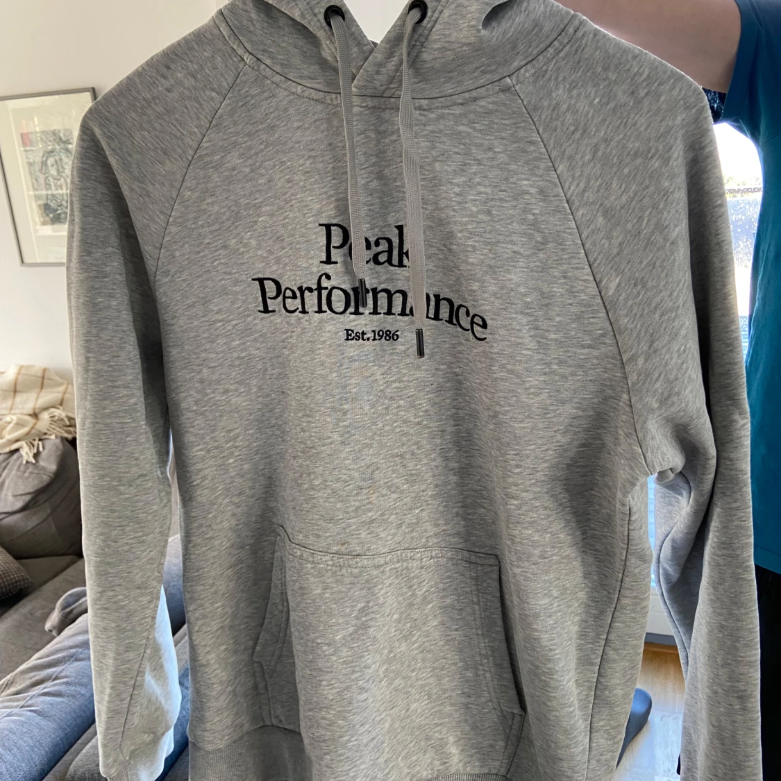 Grå hoodie från Peak Performance - 90