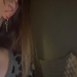 Silverfärgade nitörhängen - Snygga silverfärgade örhängen med en rund form och en spetsig hängande detalj. Fick av en kompis men säljer då jag inte använder silver längre ❤️ Riktigt silver, gjorda av silversmed