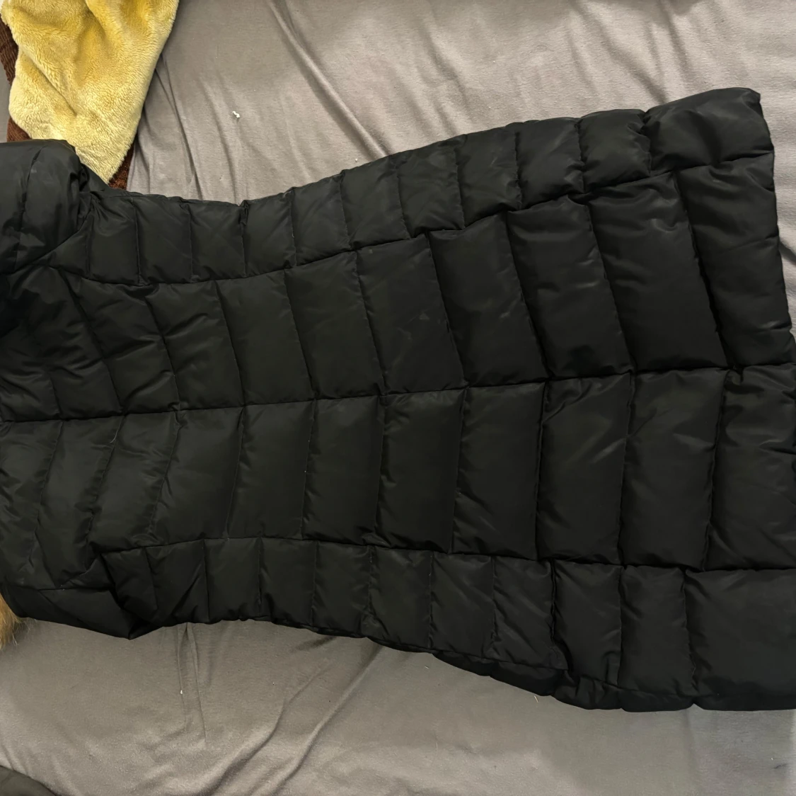 Svart Vinterjacka från Rockandblue - 92