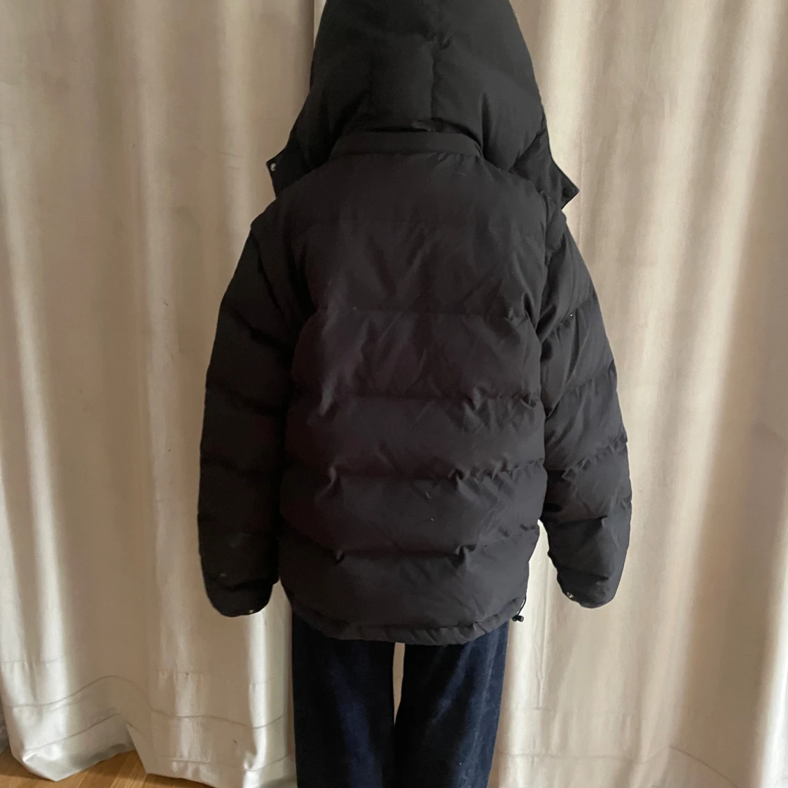 corvidao jacka  - 91