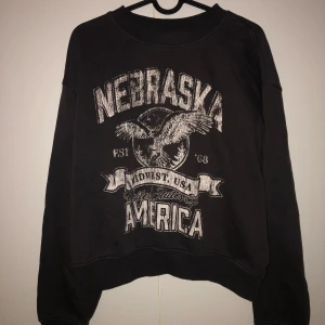 Mörkgrå sweatshirt från H&M Divided - Säljer en svart sweatshirt från H&M Divided med tryck av en örn och texten 'Nebraska America'. Nopprig insida, men härlig passform.