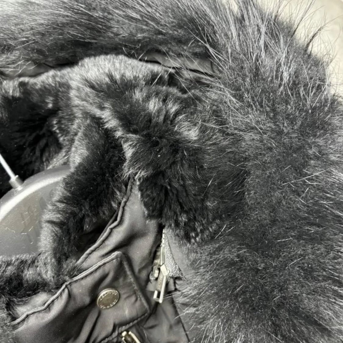 Cedrico Monet XXS - 91