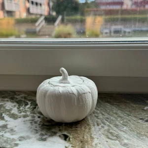 Handgjord pumpa - Handgjord pumpa gjord av plaster (känns som betong) Säljs för 70kr